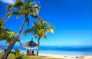 热带天堂,沙滩,棕榈树,蓝色天空,海洋,阳光,夏天,风景图片