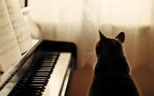 钢琴与猫非主流唯美图片