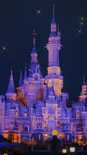 迪士尼城堡的梦幻夜景