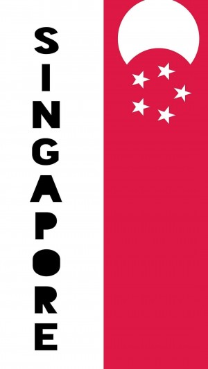 2020东京奥运会新加坡旗帜