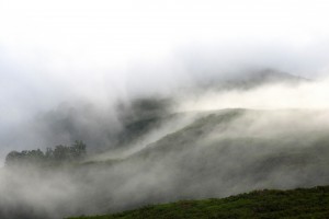清晨雾气缭绕的自然美景