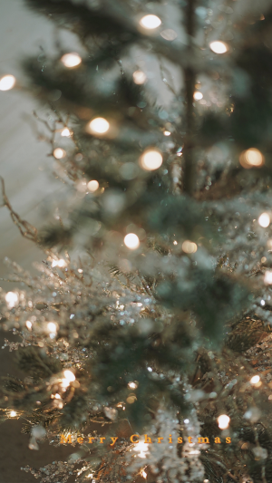 圣诞节朦胧灯光摄影