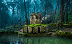 葡萄牙 树木 苔藓 城堡 池塘 风景图片
