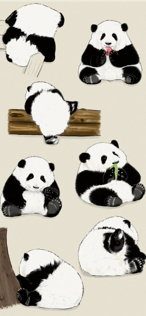 熊猫可爱手绘插画壁纸