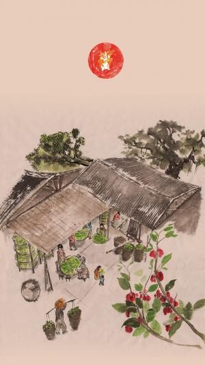 小满中国风民族风俗手绘图片