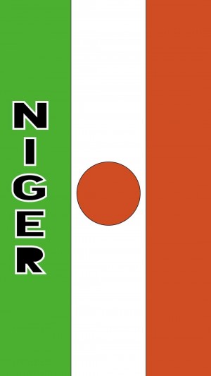 2020东京奥运会尼日尔国家旗帜