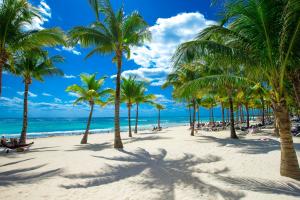 热带沙滩 海岸 海水 天空 云 阳光 棕榈树风景图片