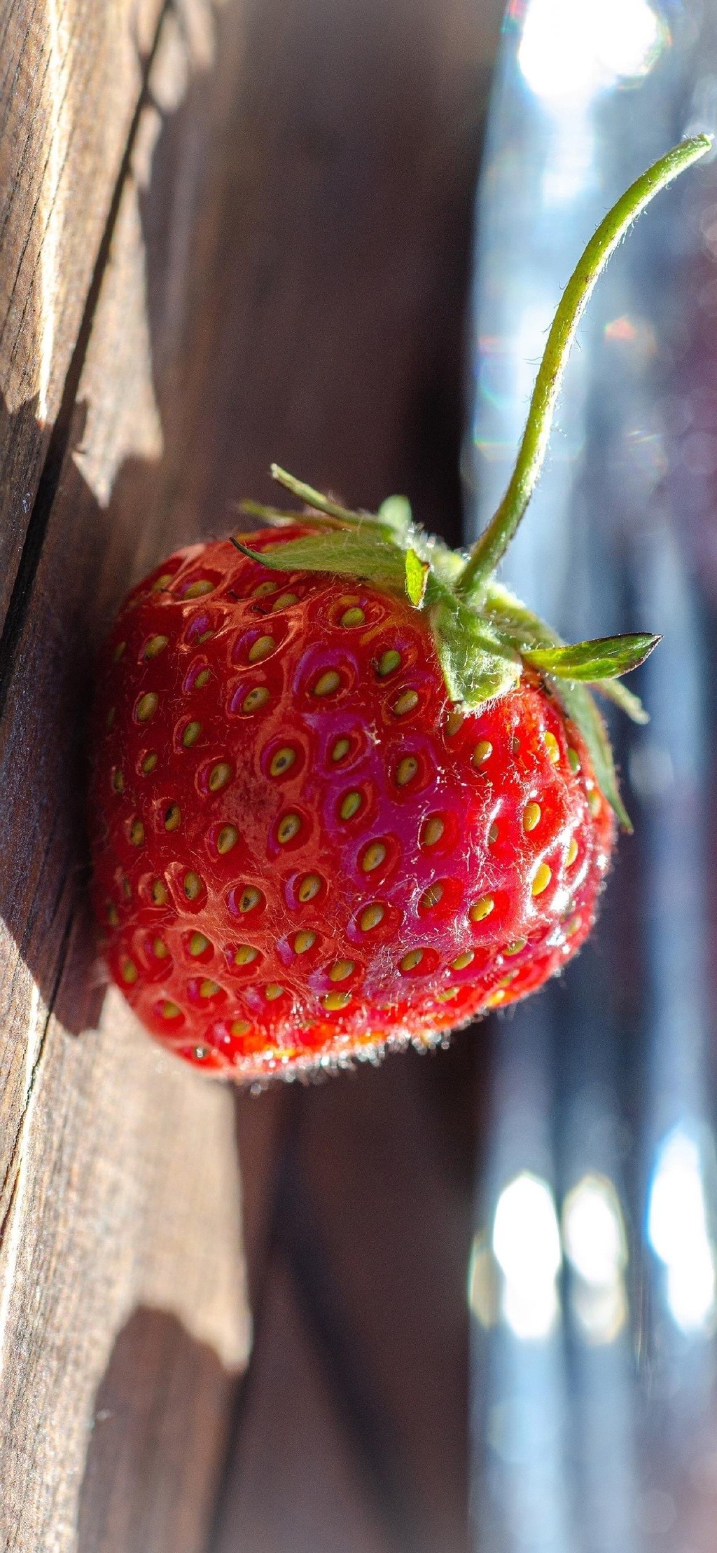 新鲜可口草莓高清手机壁纸