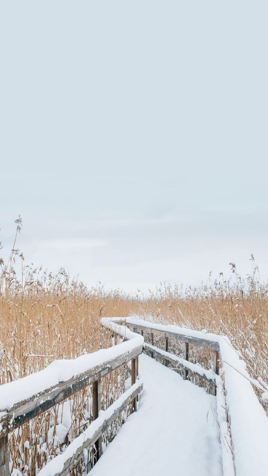 唯美冬雪景致图片手机壁纸