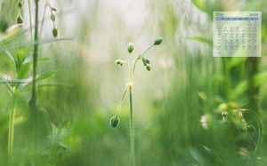 2021年5月小清新绿色植物日历壁纸