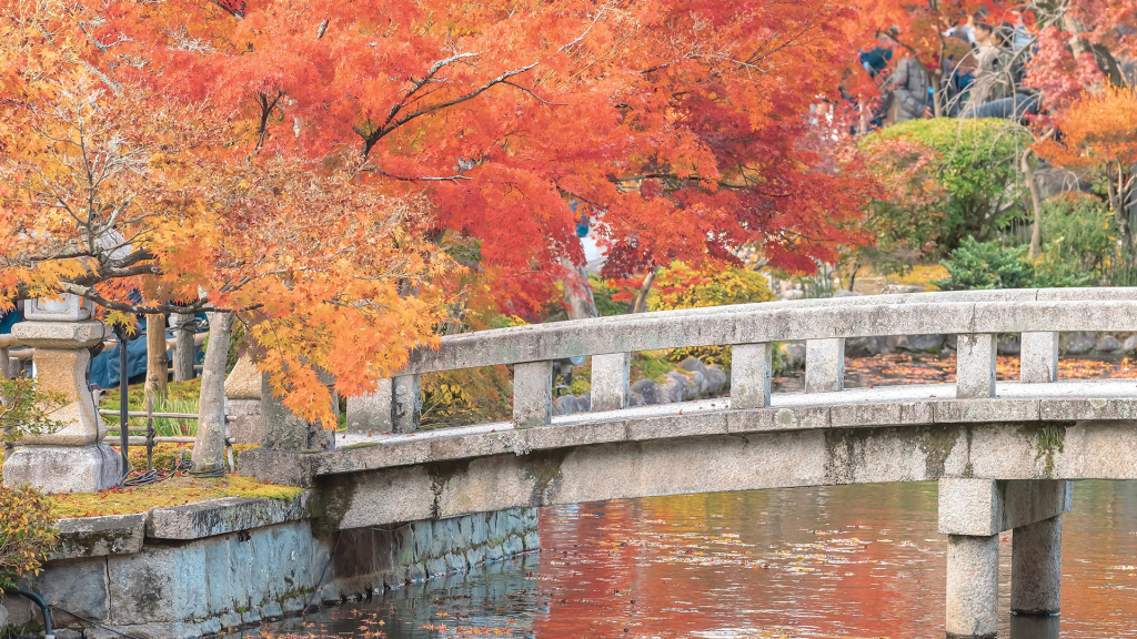 京都红枫意境迷人风景
