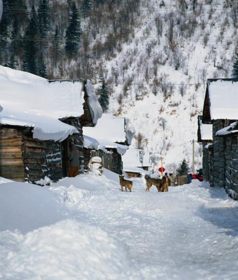 雪与村庄