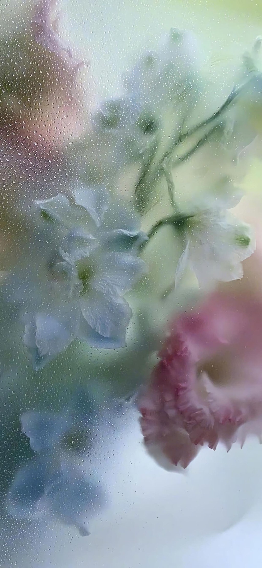 唯美朦胧水滴小清新花朵手机壁纸