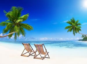 海岸,蓝色大海,翡翠,棕榈树,椅子,美丽的海洋风景图片