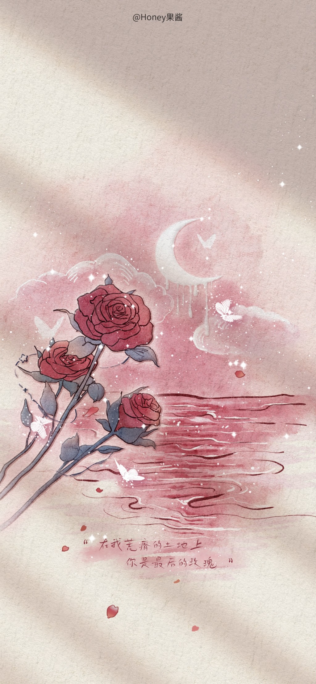 玫瑰花插画手机壁纸