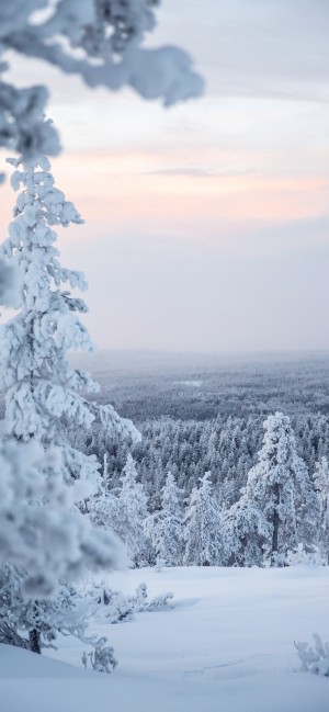 美丽雪景全面屏高清手机壁纸