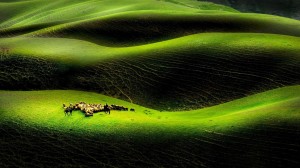 新疆天山翠绿草原风景壁纸图片