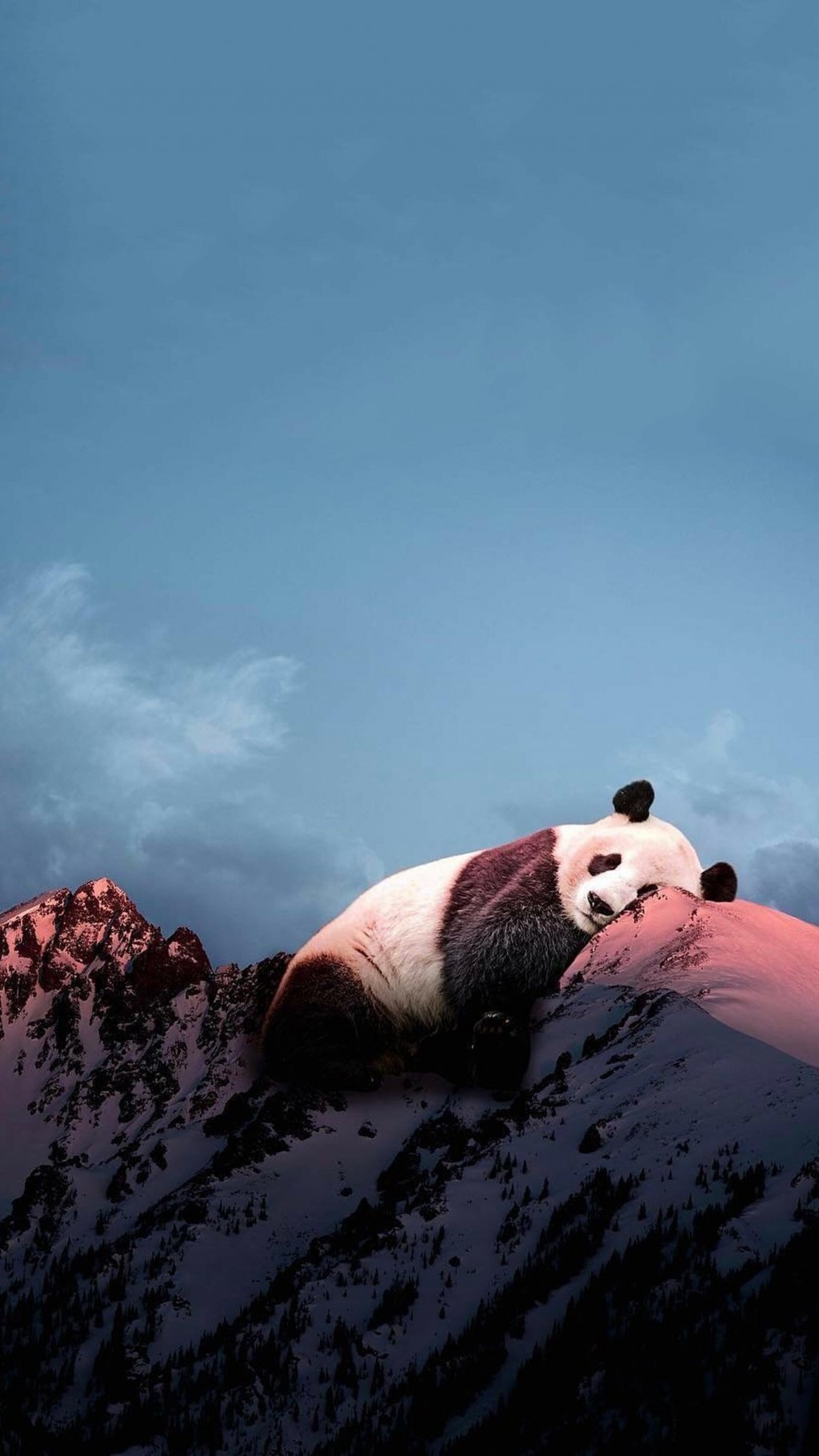 超萌大熊猫创意手机壁纸