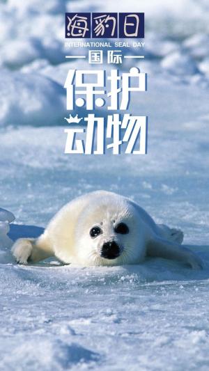 国际海豹日：保护动物