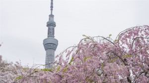 东京晴空塔壮观高清桌面壁纸