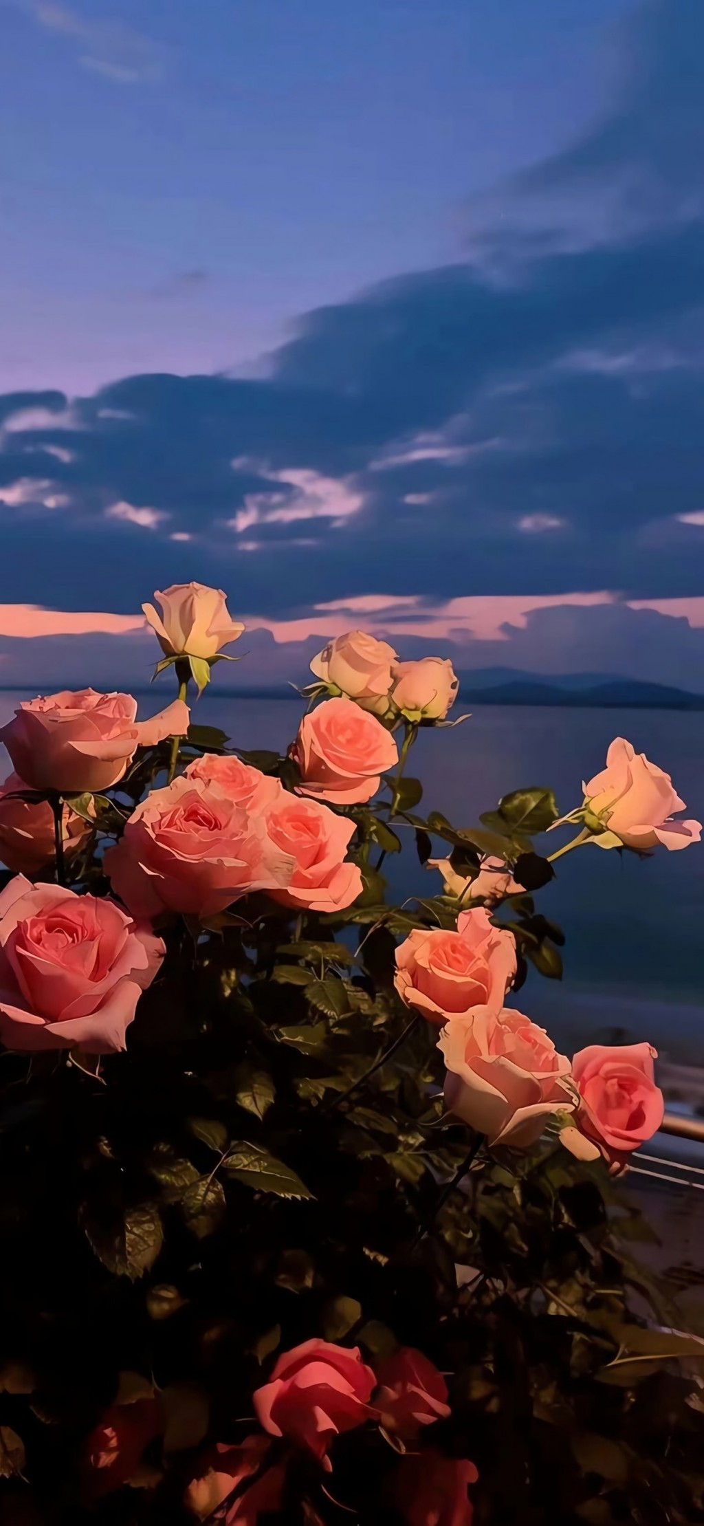 浪漫玫瑰花风景手机壁纸