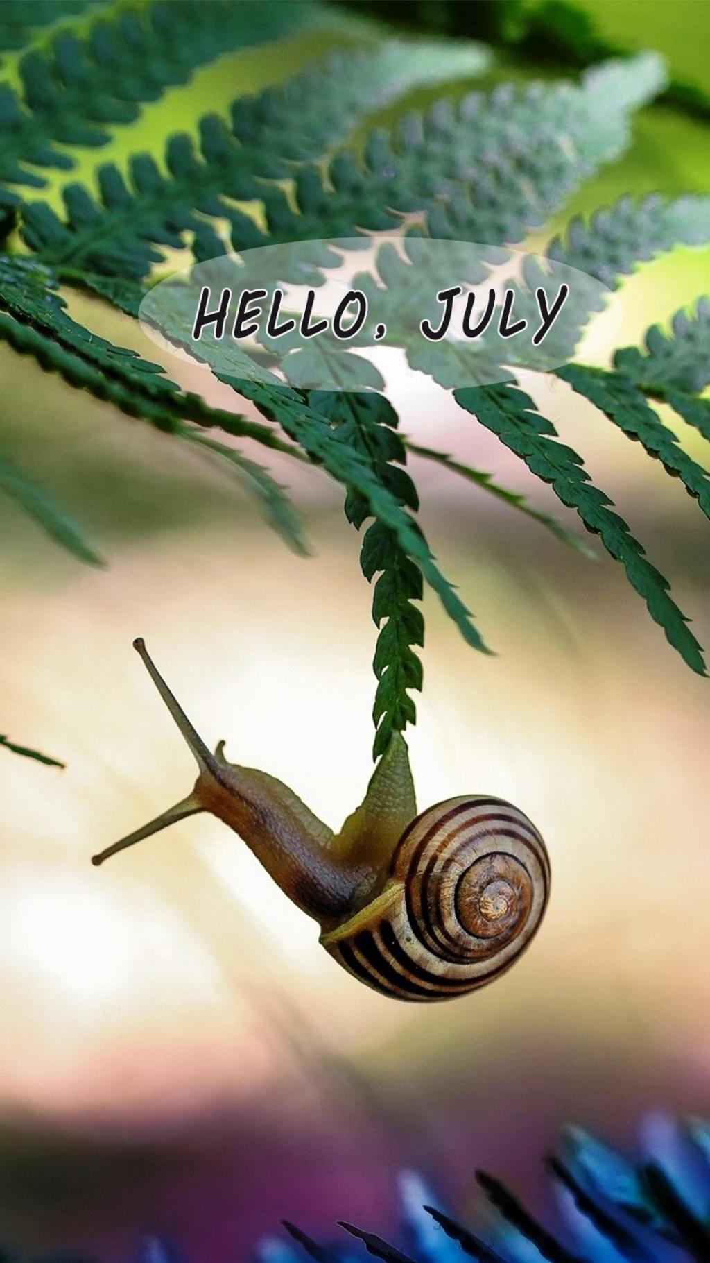 七月你好唯美可爱蜗牛垂挂绿叶上图片