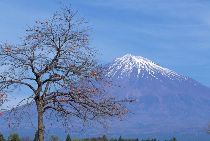 风景优美的富士山图片