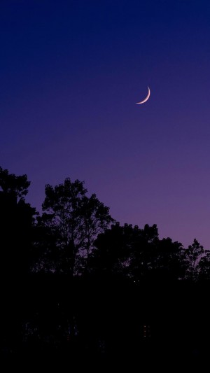 寂静唯美夜空月色风景手机壁纸