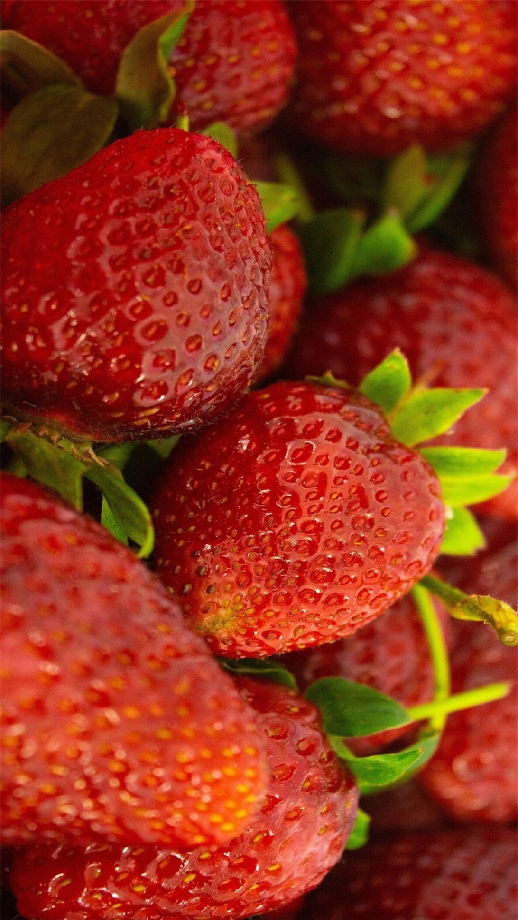 新鲜香甜蔬果草莓高清手机壁纸