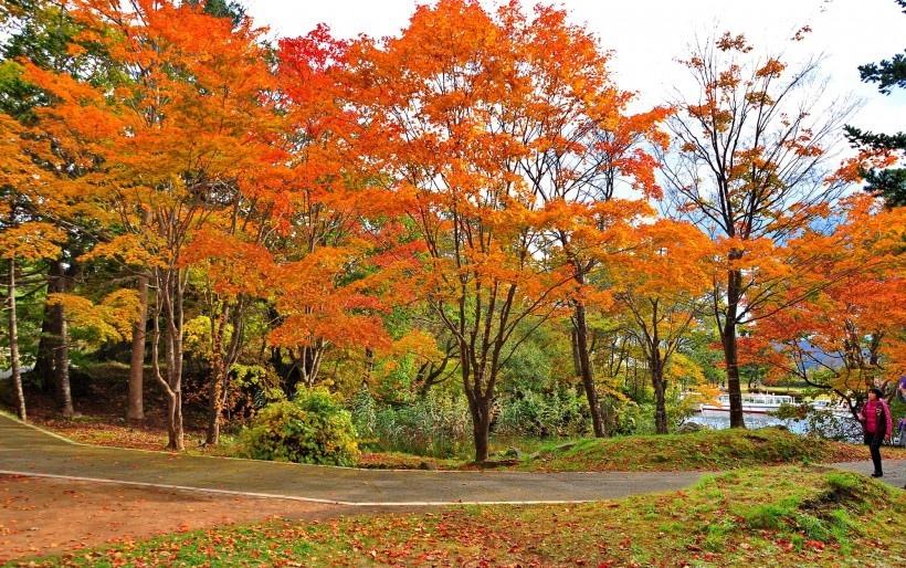 日本大沼国定公园风景时尚图片