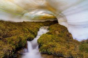 小溪冲开的隧道形成天然的温室