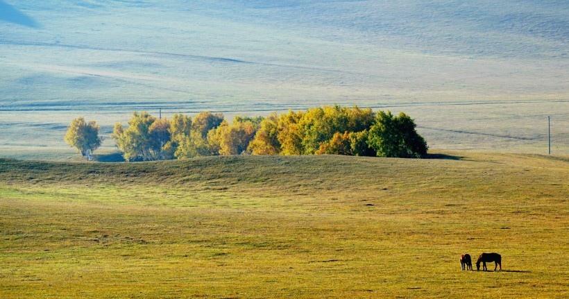 内蒙古乌兰布统风景图片