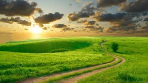 美丽的绿色草地 丘陵 道路 云海 日出 风景壁纸