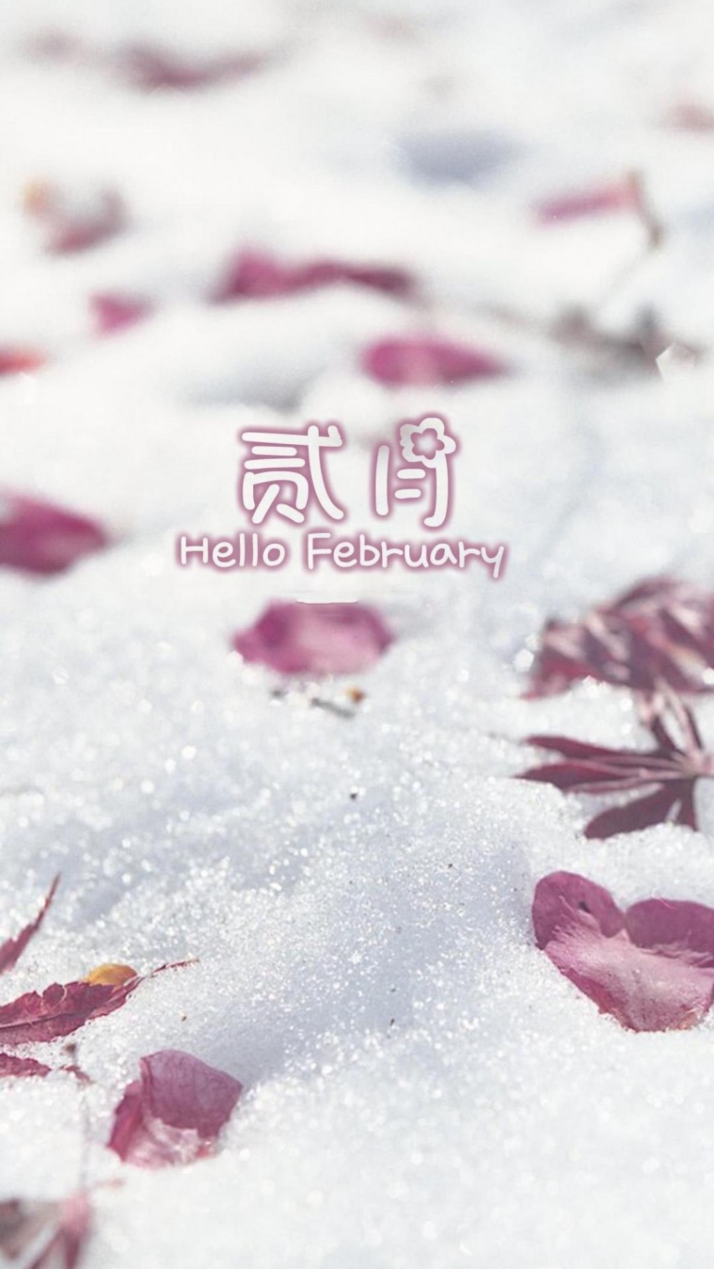 二月Hello February唯美小清新手机壁纸