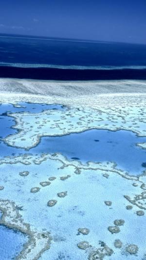 世界上最大的礁石群
