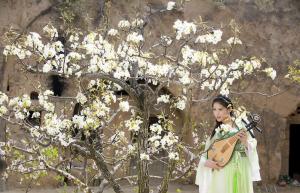 梨树下的琵琶女郎纯净迷人写真