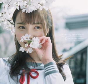 武汉大学的制服少女樱花树下写真