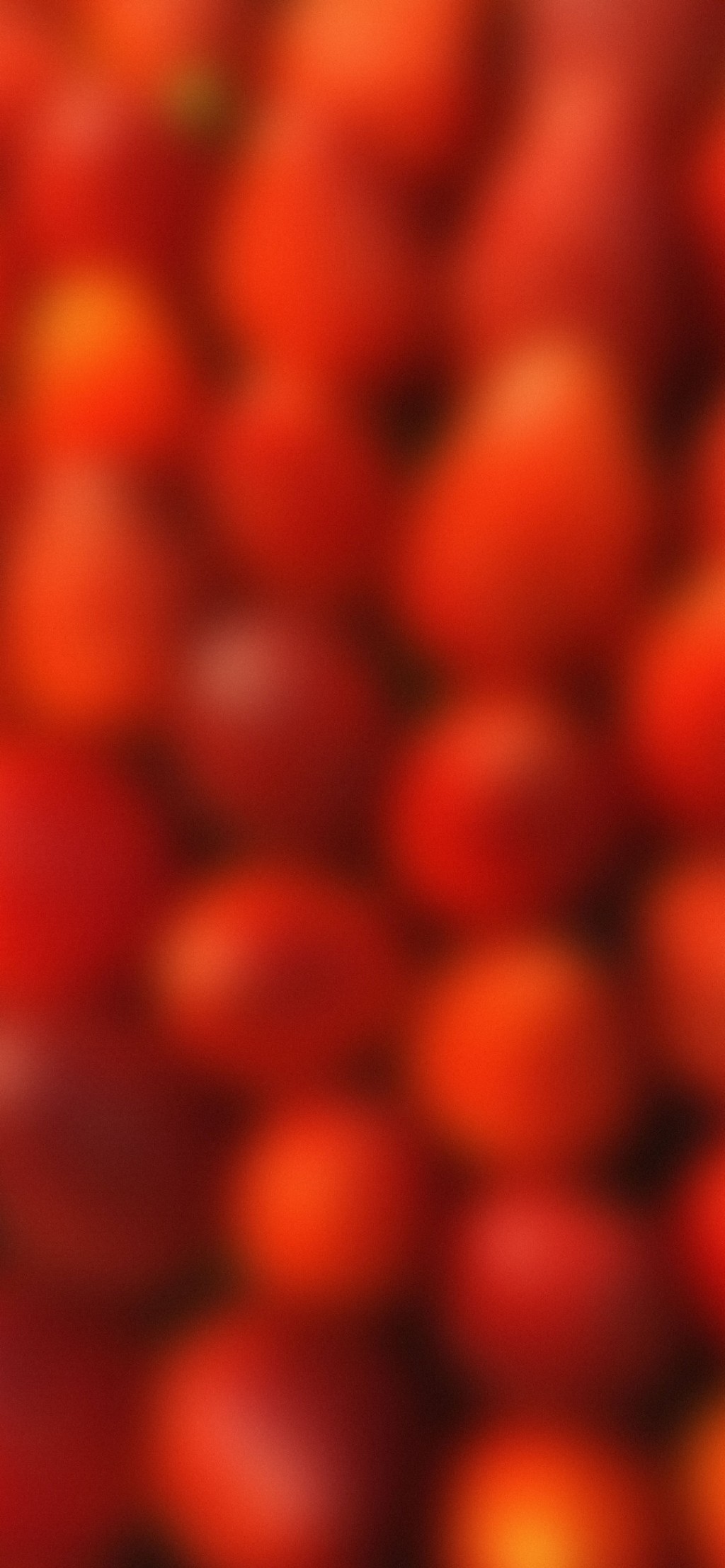水果派系列手机壁纸