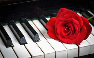 玫瑰与钢琴唯美艺术摄影图片
