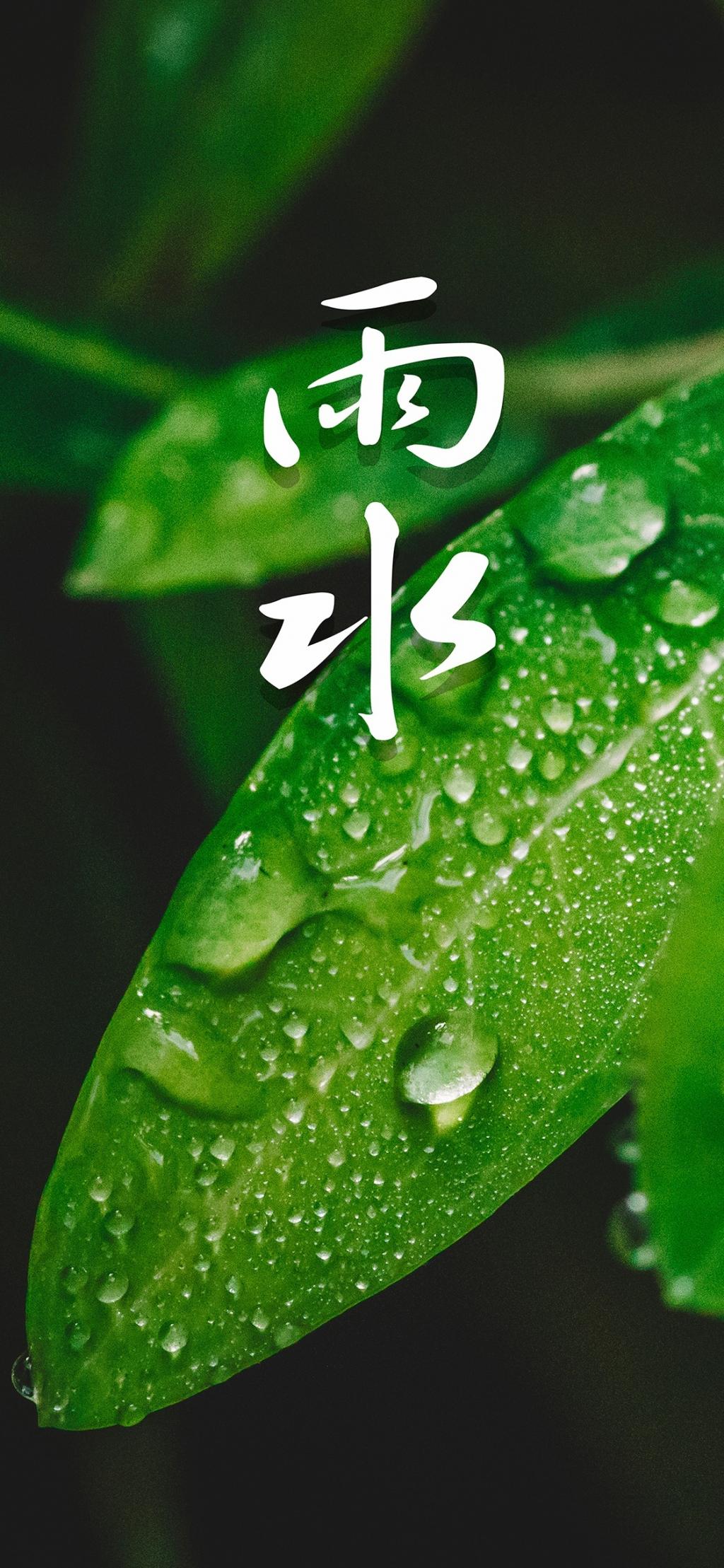 雨水节气绿色护眼手机壁纸