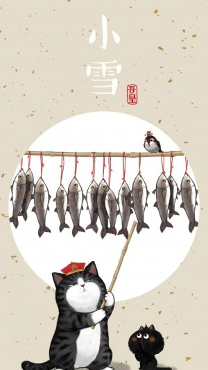 小雪时节之小猫插画