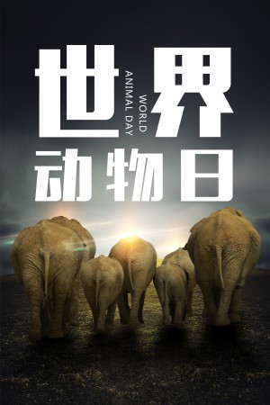 世界动物日之大象