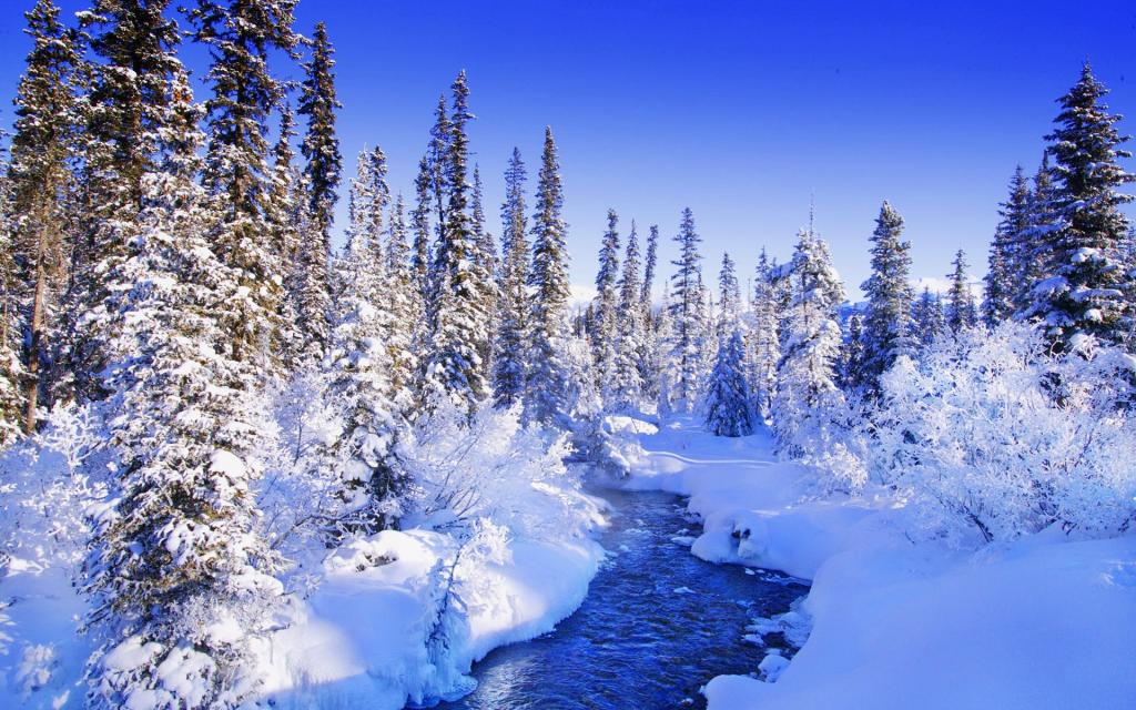 二十四节气之大雪蓝天白雪风景电脑壁纸