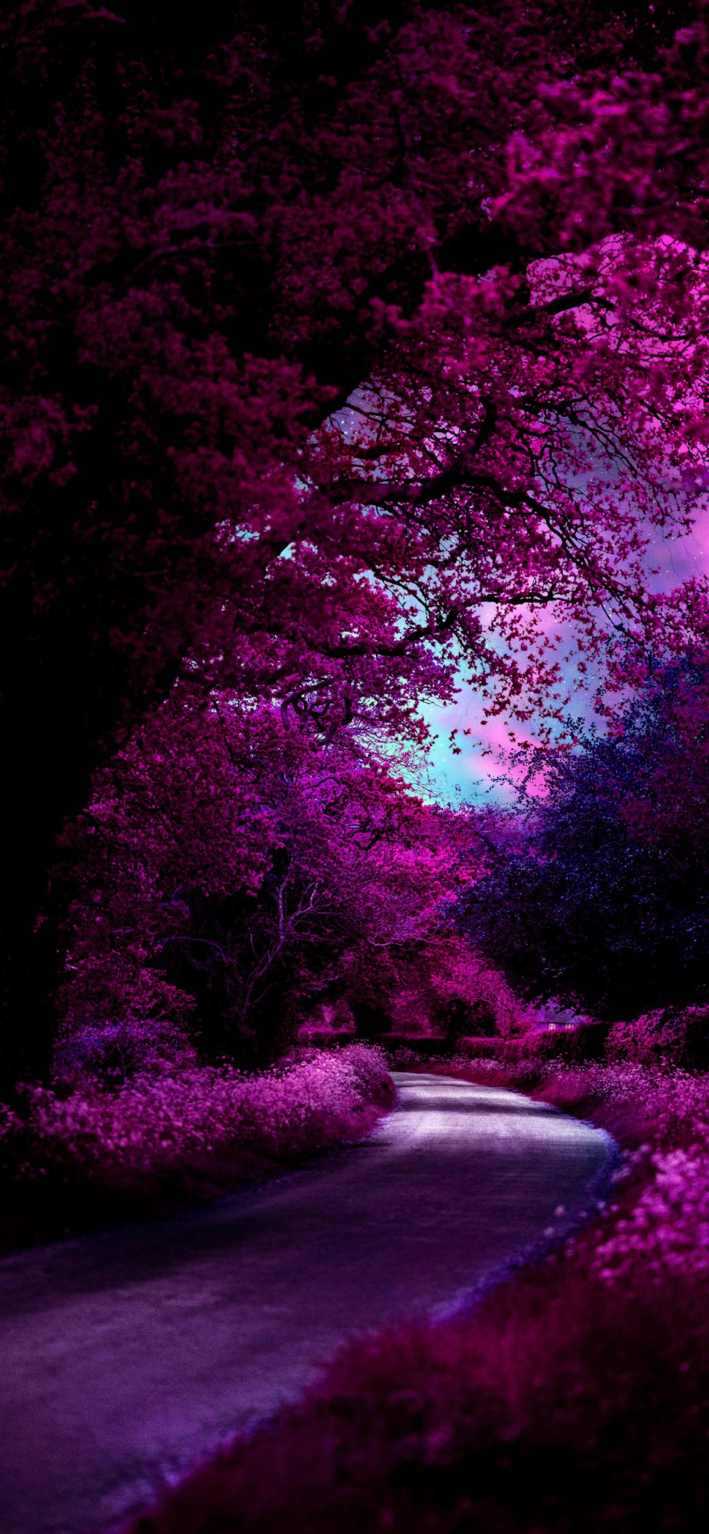 暗紫色系列梦幻风景手机壁纸