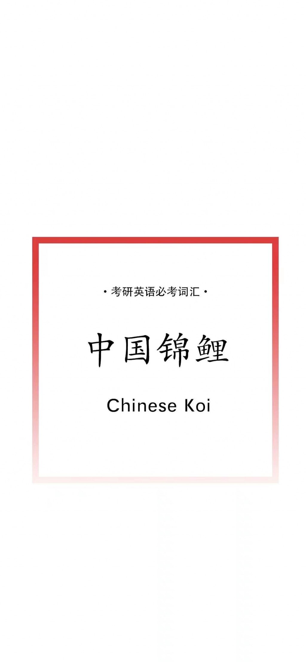 中国锦鲤英文单词手机壁纸