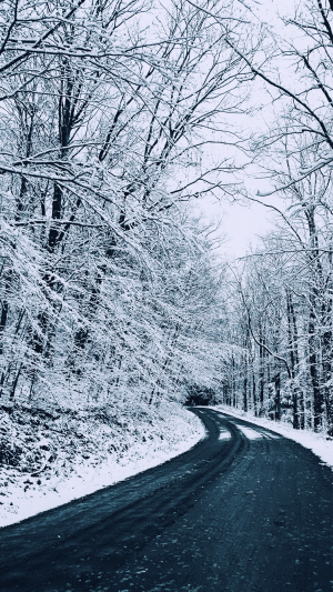 冬季森林公路优美雪景