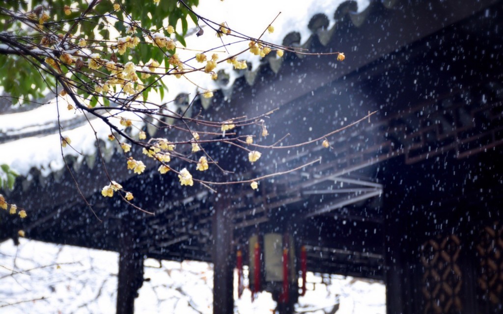 苏州拙政园唯美冬季雪景高清桌面壁纸