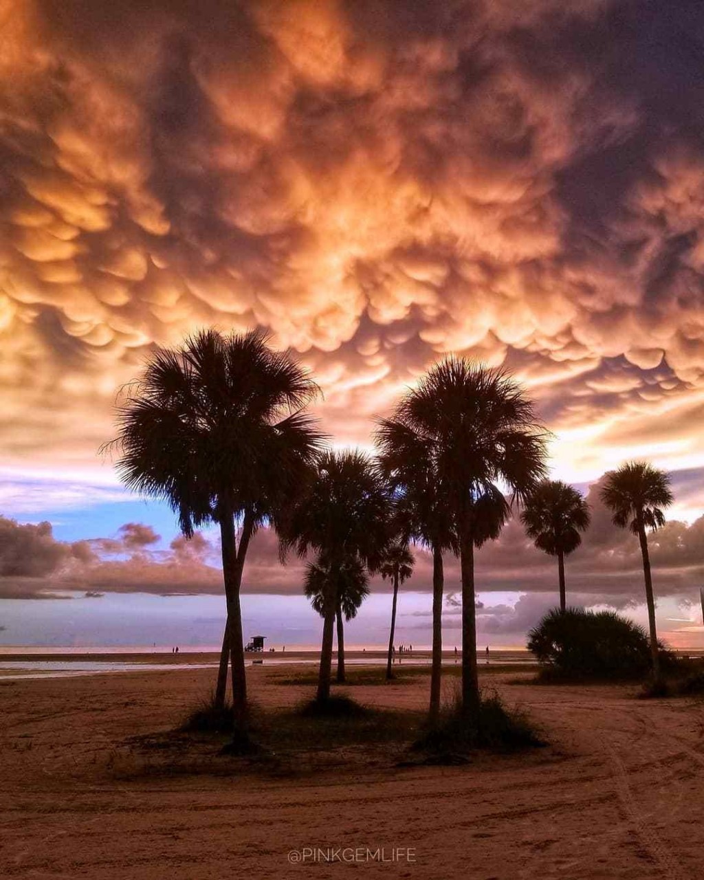 佛罗里达的乳状云