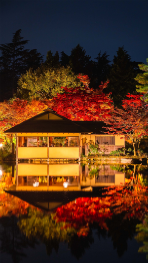 日式庭院古典唯美夜景