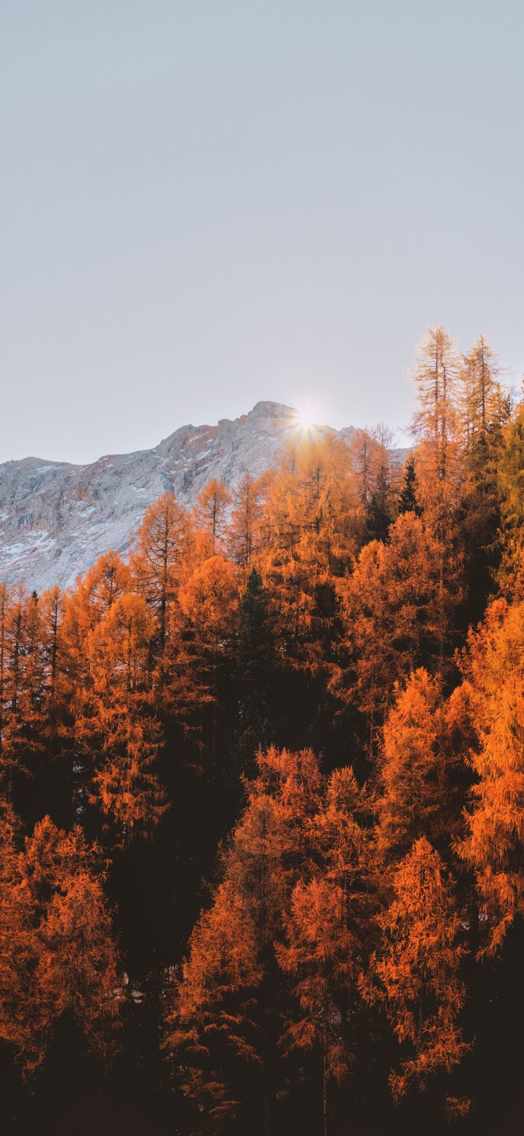 秋天早安唯美自然风景手机壁纸